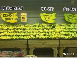 卡卡湾厅·(KKW88)集团公司-官方网站