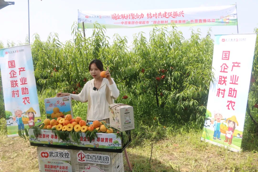 卡卡湾厅·(KKW88)集团公司-官方网站