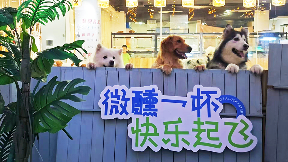 卡卡湾厅·(KKW88)集团公司-官方网站